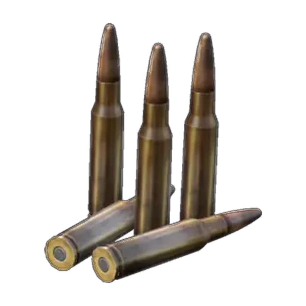 .308 WIN Rounds — Standard