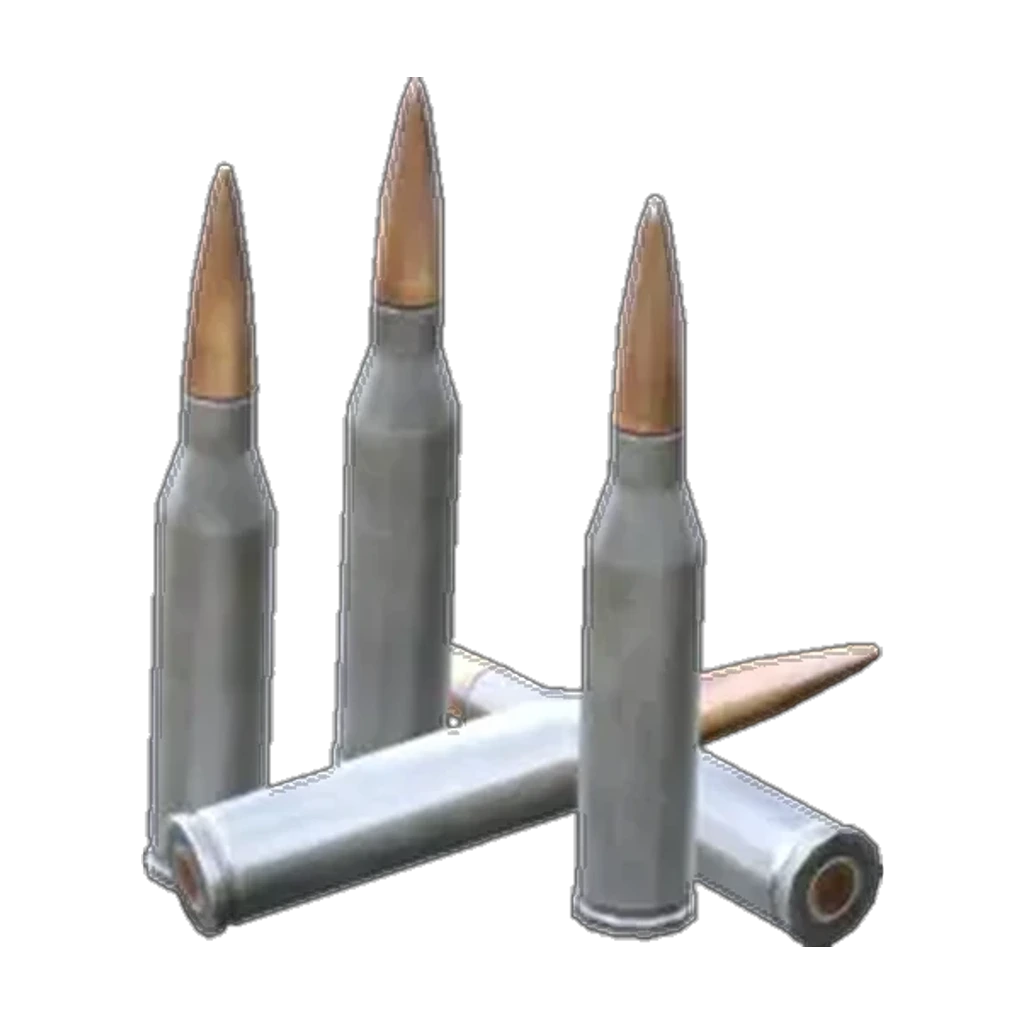 5.45x39mm Rounds — Standard