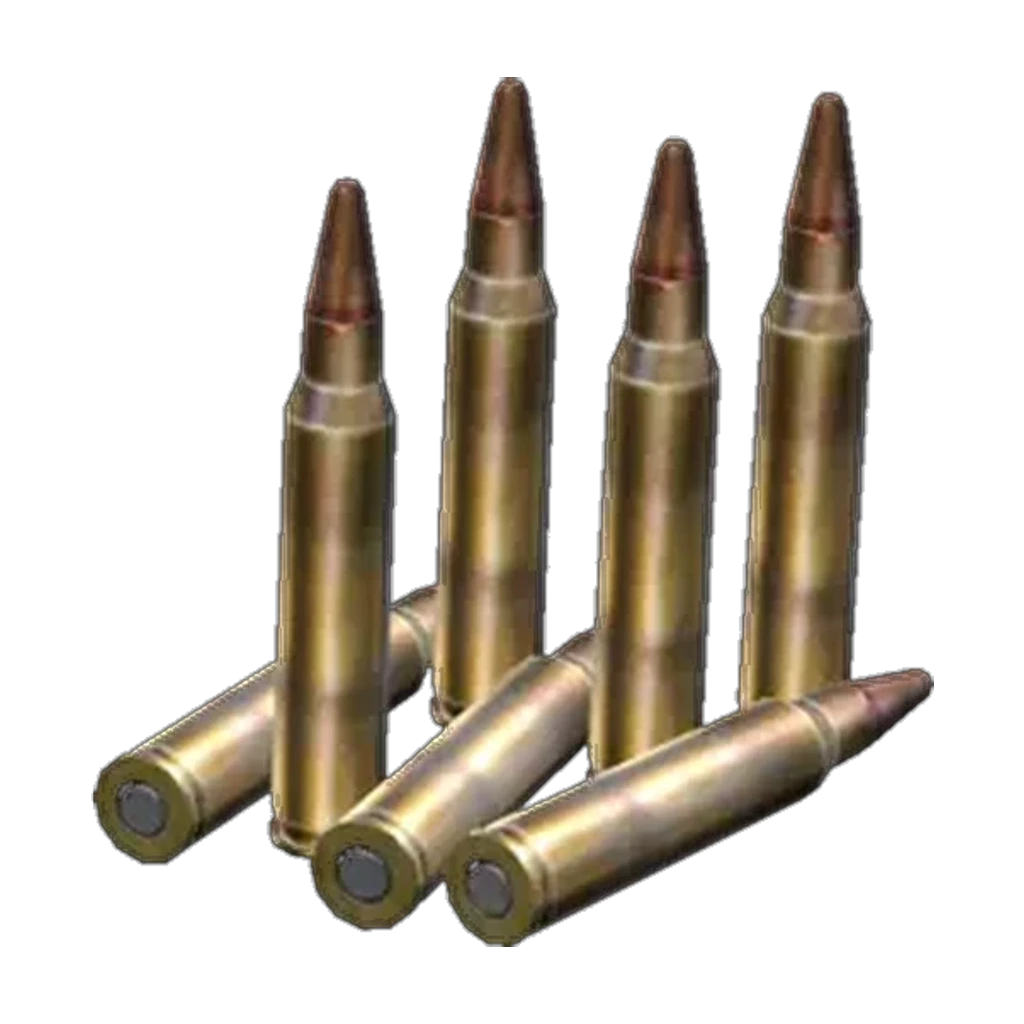 5.56x45mm Rounds — Standard