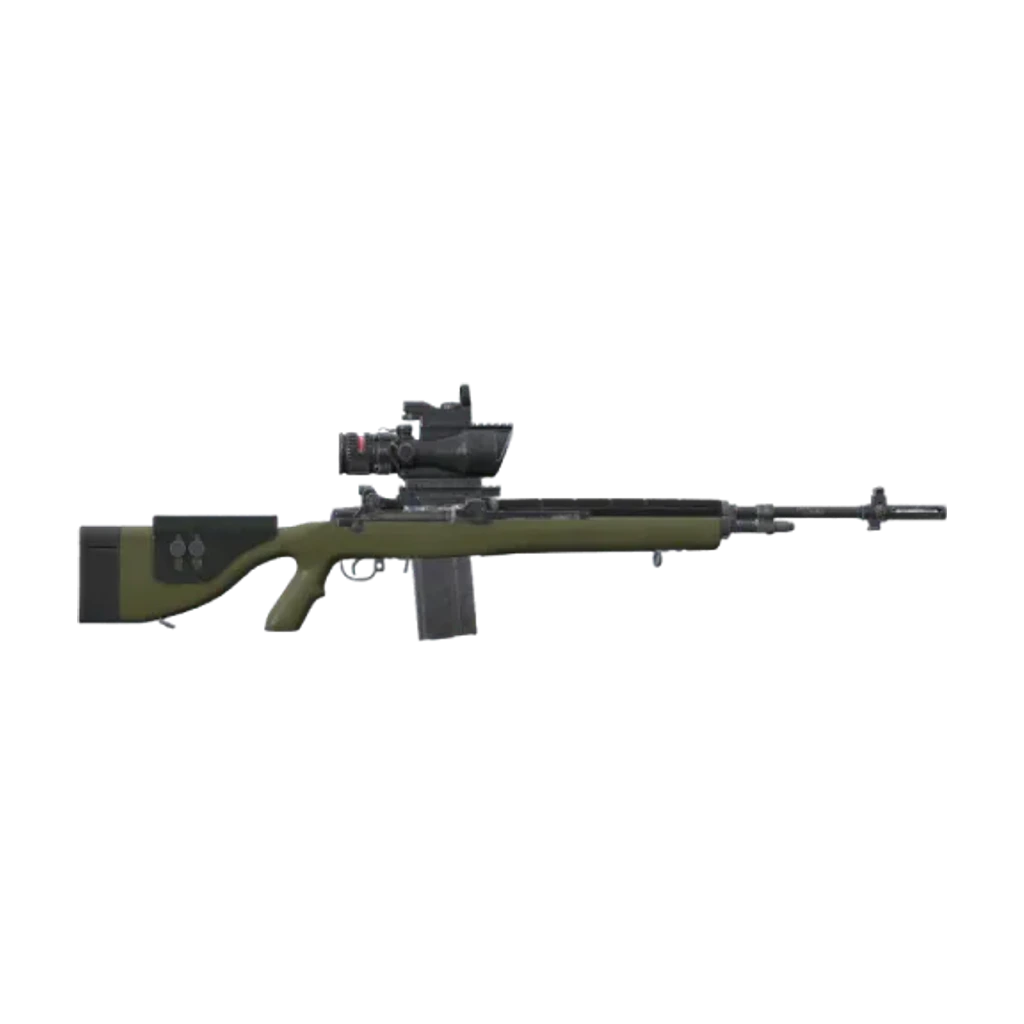DMR — Standard